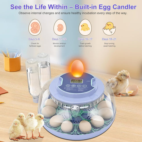 Cliseve 18 18 360 Egg Incubator for Hatching Chicks, Automatic Egg Turner Holds Eggs, Smart Incubator Clear Window