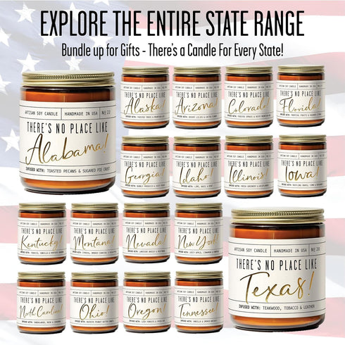 Michigan Gifts, 'There's No Place Like Michigan' Candle, Hot Apple Cider, 9oz Jar, 50Hr Burn, USA Made