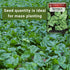 1 2400 Pack Sow Right Seeds - Bulk Bloomsdale Spinach Seeds for Planting - Ounce, Seeds - Non-GMO Heirloom Jumbo