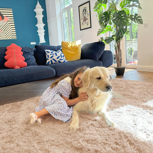 5x7 OLANLY Machine Washable Large Area Rugs for Living Room, Bedroom, Soft Fluffy Shaggy Bedside Rug, Indoor Floor