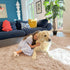 5x7 OLANLY Machine Washable Large Area Rugs for Living Room, Bedroom, Soft Fluffy Shaggy Bedside Rug, Indoor Floor