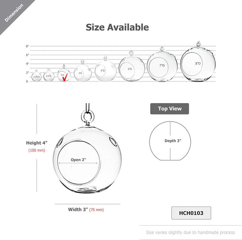 WGV Hanging Terrarium Globe, Clear Glass Vase Orb, 3" Width, 4" Height, DIY Air Succulent Planter, 6 Pieces Bulk