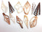 PEPPERLONELY 20PC Assorted Mixed Sea Shells, Center Cut, 2 Inch ~ 3 Inch