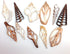 PEPPERLONELY 20PC Assorted Mixed Sea Shells, Center Cut, 2 Inch ~ 3 Inch