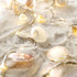 7.2FT 39LED MIYA LIFE Seashell Garland Ocean Light for Beach Decor Battery Operated Coastal Garland Magic Conch Shell