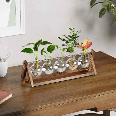 (5 Bulb CFMOUR Plant Terrarium with Wooden Stand, Desktop Propagation Stations Glass Air Planter Metal Swivel Holder