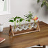 (5 Bulb CFMOUR Plant Terrarium with Wooden Stand, Desktop Propagation Stations Glass Air Planter Metal Swivel Holder