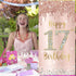 Happy 17th Birthday Door Banner Decorations - Pink Rose Gold 17 Birthday Cover Backdrop Party Supplies
