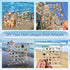 Acrylic Magnetic Seashell Display Box, Decorative Storage Case for Seashells, Trinkets, and Small Craft Organizers