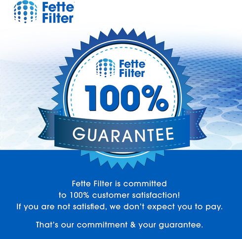 Fette Filter FSV001 Hepa Filter Replacement Pack of 4 Compatible with Fabuletta FSV001 FSV101 Girnoor G165 G160 Afoddon