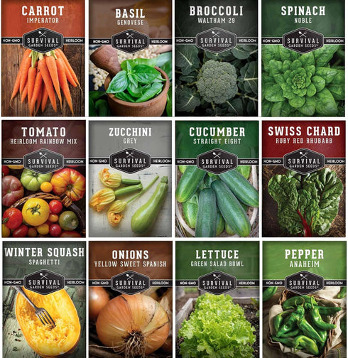12 Vegetable Seed Variety Pack for Planting - Heirloom Broccoli, Carrot, Basil,