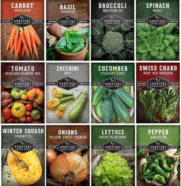 12 Vegetable Seed Variety Pack for Planting - Heirloom Broccoli, Carrot, Basil,