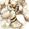 Heyiwell 200 Grams Drilled Mix Seashells for DIY Crafts, Windchimes Shellcraft Home Decor 1"~2" Inch