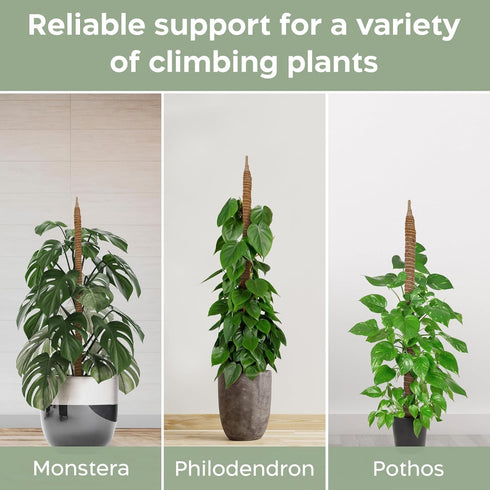 2 Pack 28'' Bendable Moss Pole Monstera Plant Support for Climbing Indoor Plants - Stakes for Potted Climbers - Tall