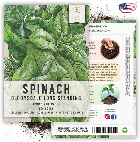 250 (1 Pack) Seed Needs, Bloomsdale Long Standing Spinach Seeds - Heirloom Seeds for Planting Spinacia oleracea