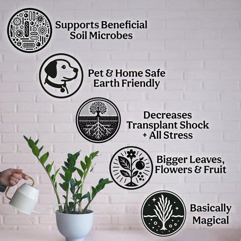 8oz 55 Organic Liquid Kelp & Seaweed Extract Prop Drop (Ecklonia Maxima) Root + Plant Growth Hormone & Root Plant Food