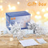 Set,2Pack 50Count 13Feet Bulb Hopolon Clear Christmas Lights Incandescent Mini String Lights with White Wire for Indoor