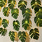 RECUTMS Monstera Leaf String Lights 2 Pack, 20LED Tropical Artificial Rattan Palm