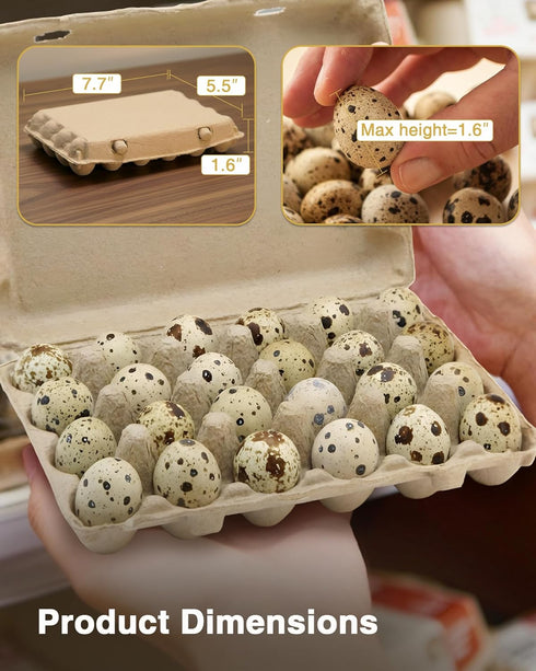 WizzVac 24 30 Pack Grids Pulp Quail Egg Cartons - Paper Pulp Bulk Cartons for Quail Eggs with Stickers and a Pair