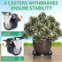 450lbs 15-22 Inch 1 Pack VANCASTLE Plant Caddy with Lockable Wheels Heavy Duty Capacity, Adjustable Plant Stand
