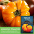 Hillbilly (1 Pack) Tomato Seeds for Planting - Heirloom Yellow-Red Bi-Color Beefsteak Variety, Sweet Low-Acid Flavor