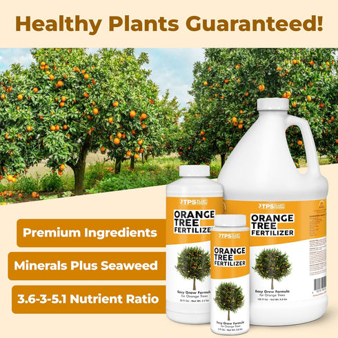 1 Orange Tree Fertilizer Liquid Plant Food for More Fruit, Better Flowering & Stronger Root Development, Gallon