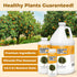 1 Orange Tree Fertilizer Liquid Plant Food for More Fruit, Better Flowering & Stronger Root Development, Gallon