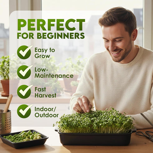 1lb Nature Jims Sprouts Organic Salad Mix Non-GMO Microgreen Seeds, Perfect for Growing Nutritious Organic Broccoli
