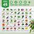 45 Pack 17,000+ Vegetable Seeds Variety - Non-GMO Heirloom for Planting Indoor & Outdoor Garden - Seed Vault Kit
