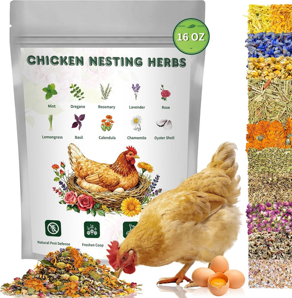 BGraceyy Chicken Nesting Herbs 16 oz 11 Natural Dried Herb Blend with