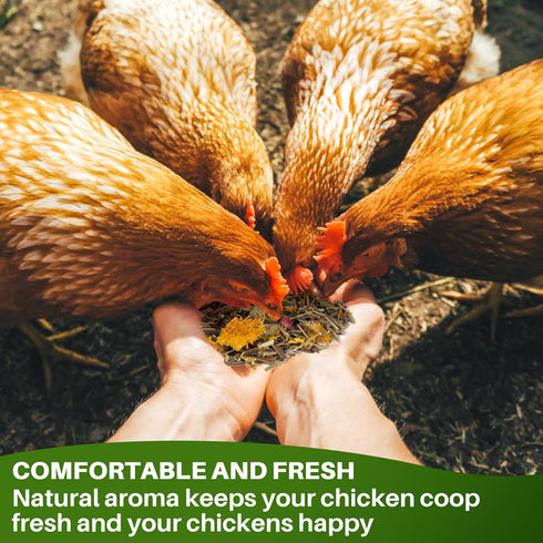 RAINFLOW 10oz Cozy Chicken Nesting Herbs - Natural Dried Herb Blend for Coop Comfort,Egg Laying Hens