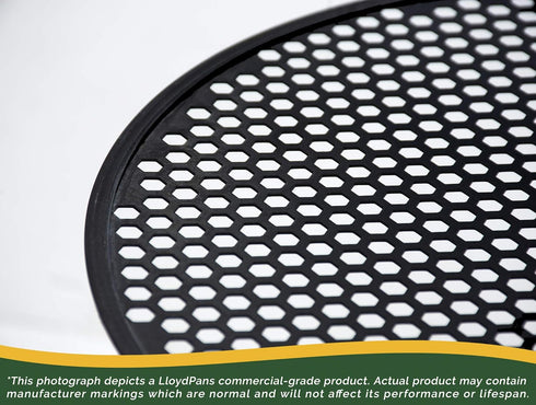 LloydPans 12 Inch Pre-Seasoned Hex Disk