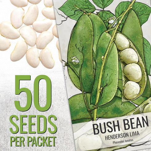 Seed Needs Lima Bean Seeds for Planting Henderson Lima Beans - Non-GMO Heirloom & Untreated Vegetable Seed to Plant a