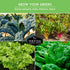 Pack 5 Leafy Greens Seeds Variety Heirlooms: Viroflay Spinach, Arugula, Lacinato Kale, Salad Bowl Lettuce & Rainbow