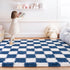 5x7, Checkered Rugs for Bedroom, Ultra Fluffy Fuzzy Shag Area Rug for Living Room Modern Plush Soft Upgrade Non-Slip