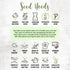 (2 Packs) Seed Needs Rue Seeds for Planting - Non-GMO Heirloom & Untreated Perennial Herb Seed to Plant a Home Grown