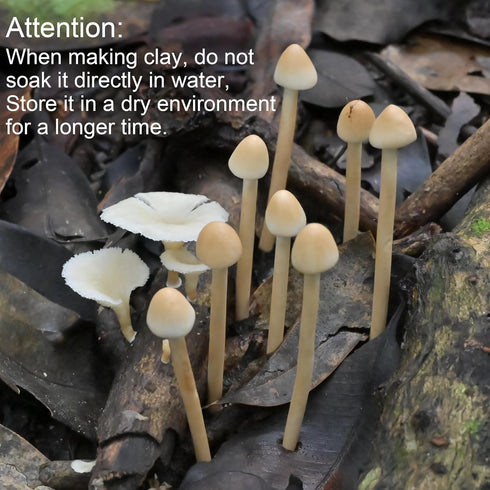 Mumutie 8-Pack Handmade Clay Mushrooms - Mini Fake Mushrooms for DIY Miniature Landscapes & Fairy Gardens - Desktop