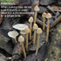 Mumutie 8-Pack Handmade Clay Mushrooms - Mini Fake Mushrooms for DIY Miniature Landscapes & Fairy Gardens - Desktop
