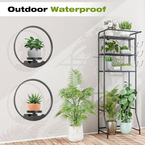 3 Pack Round Picture Frame Wall Plant Holder Black Wall Hanging Planters Metal Window Plants Shelf Plant for Indoor
