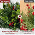 2PCS Bailikang Christmas Artificial Pine Needles Branches Table Decor with Red Berry Pine Cones Greenery Stems