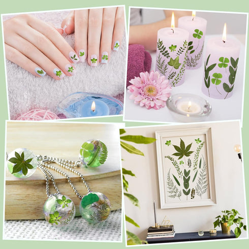 Nuanchu Pressed Flowers Bulk Dried Flower for Crafts, Natural Dried Flower Leaves with Tweezer for Resin Mold DIY
