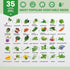 35 Pack 21000+ Set Heirloom Seeds Variety - Non-GMO Seeds for Planting Vegetables and Fruits, Home Garden Seeds