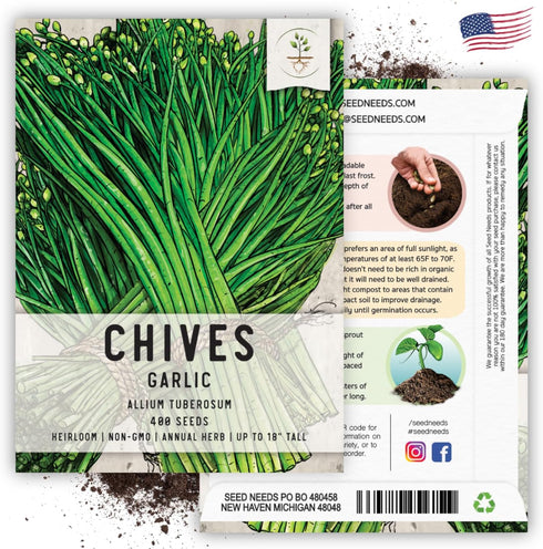 (1 Pack) Seed Needs Chive Seeds for Planting Garlic Chives - Non-GMO Heirloom & Untreated Perennial Herbs to Grow an
