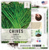 (1 Pack) Seed Needs Chive Seeds for Planting Garlic Chives - Non-GMO Heirloom & Untreated Perennial Herbs to Grow an