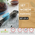 Spring Chef Stainless Steel Magnetic Measuring Spoons Set of 8 with Leveler, Nesting Teaspoon & Tablespoon Measuring Spoons for Dry and Liquid Ingredients, Kitchen Gadgets for Baking & Cooking - Teal by Spring Chef