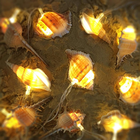WSgift LED String Lights, Ocean Conch Beach Themed Battery Powered 9.18 ft