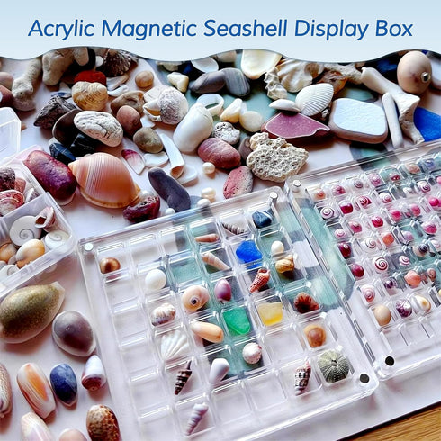 Acrylic Magnetic Seashell Display Box,Seashell Storage Box Display Case Decorative Seashell Starfish Trinket,Seashell Holder Display Box,Small Craft Organizers Container for Bead, Nail, Jewelry(64)