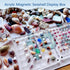 Acrylic Magnetic Seashell Display Box,Seashell Storage Box Display Case Decorative Seashell Starfish Trinket,Seashell Holder Display Box,Small Craft Organizers Container for Bead, Nail, Jewelry(64)