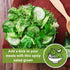 Packet (1) Sow Right Seeds - Garden Cress Seeds for Planting - Non-GMO Heirloom with Instructions to Plant and Grow a