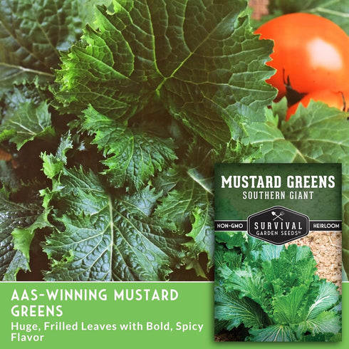 (5 Packs) Southern Giant Mustard Green Seeds for Planting Heirloom Non-GMO Spicy Greens, Heat Tolerant and Slow to Bolt
